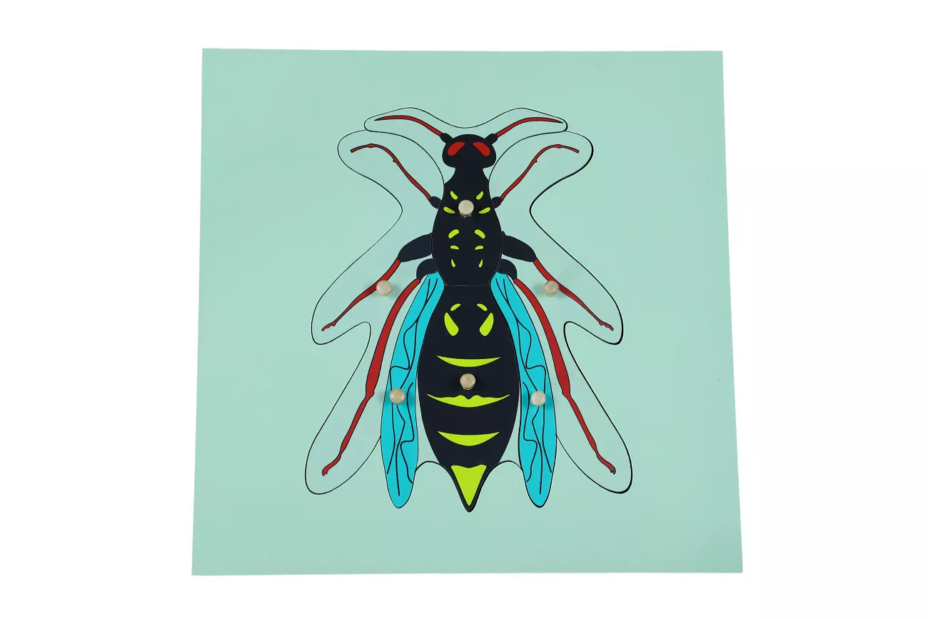 Moyo Montessori Puzzle - osa