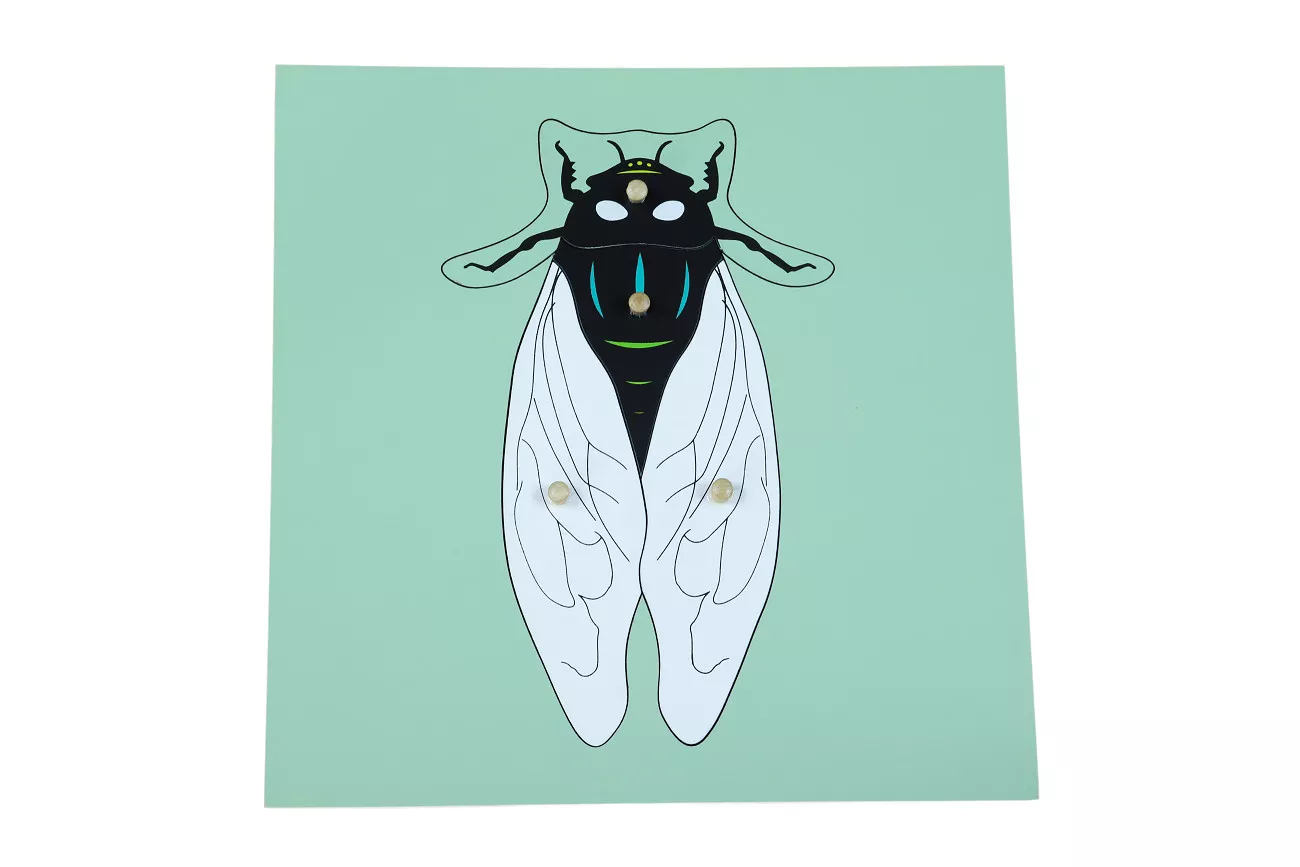 Moyo Montessori Puzzle - muha
