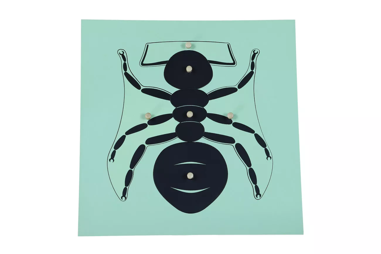 Moyo Montessori Puzzle - mravlja