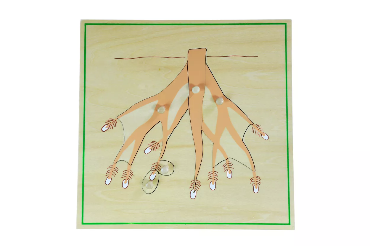 Moyo Montessori Puzzle - koren