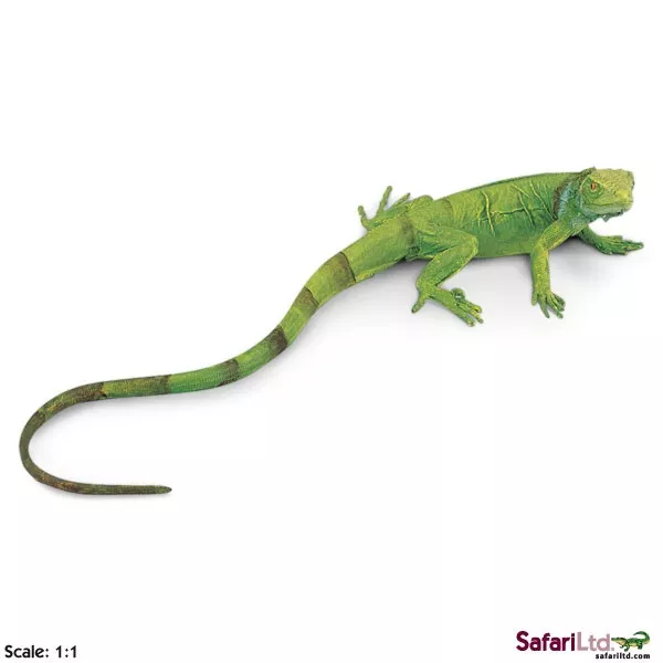 Safari Ltd. Mladič zelenega legvana