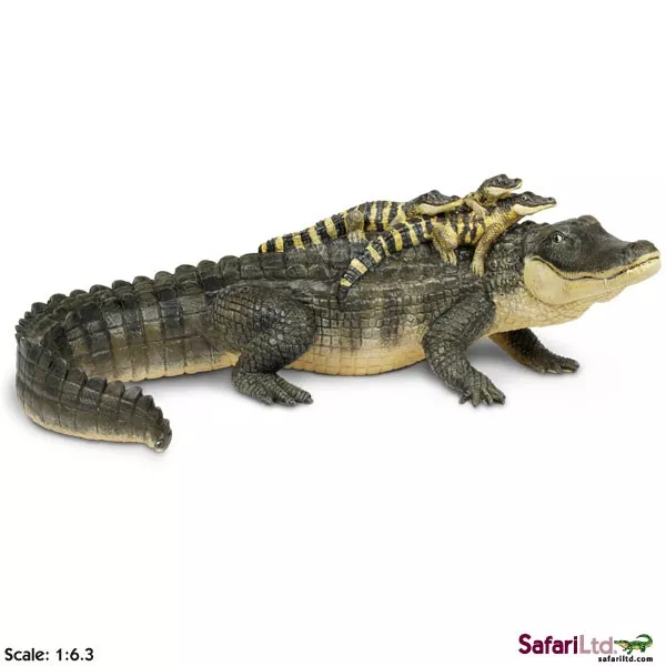 Safari Ltd. Aligator z mladiči