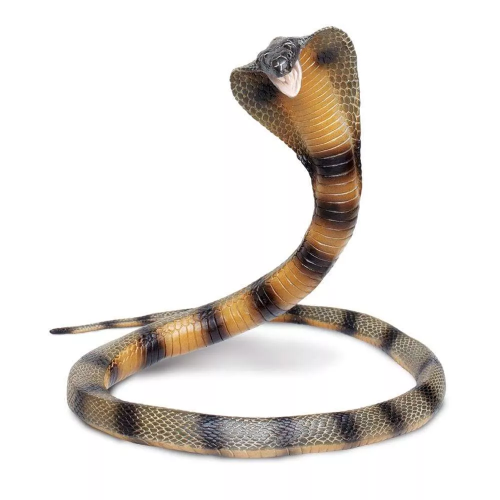 Safari Ltd. Kobra