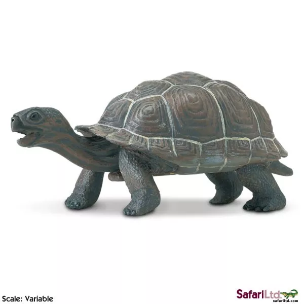 Safari Ltd. Mladič galapaške želve