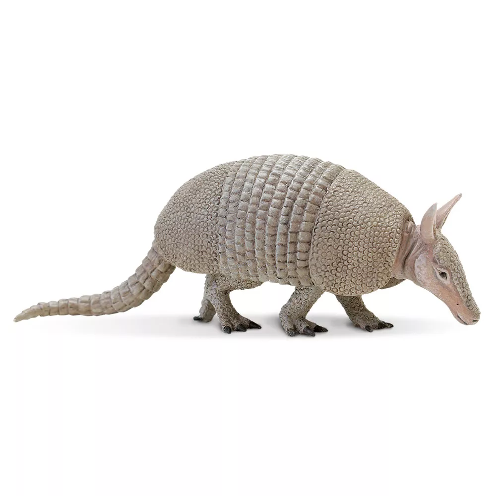Safari Ltd. Pasavec