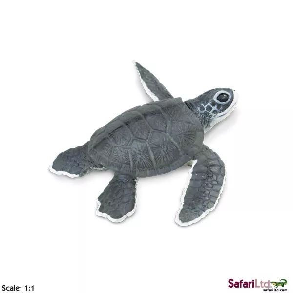 Safari Ltd. Mladič morske želve