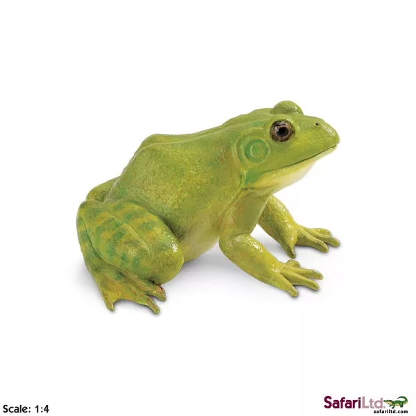 Safari Ltd. Ameriški bik