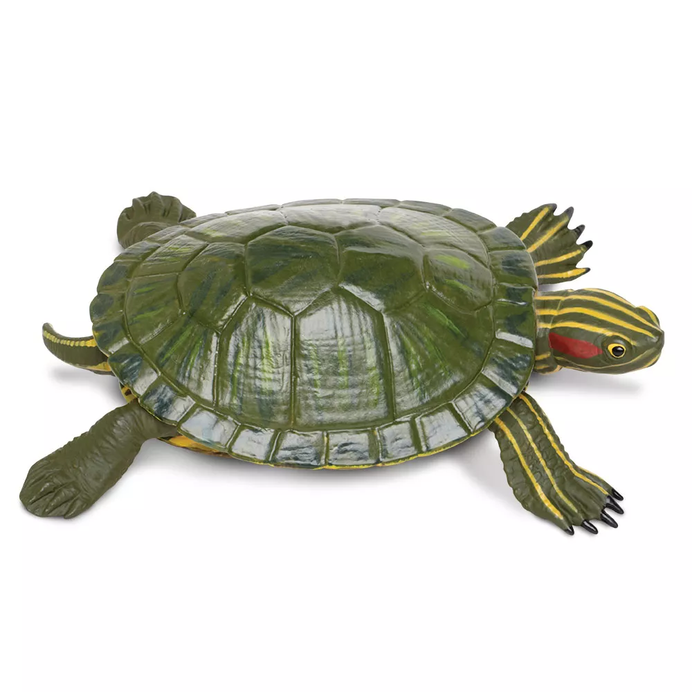 Safari Ltd. Figura - Rdečelička