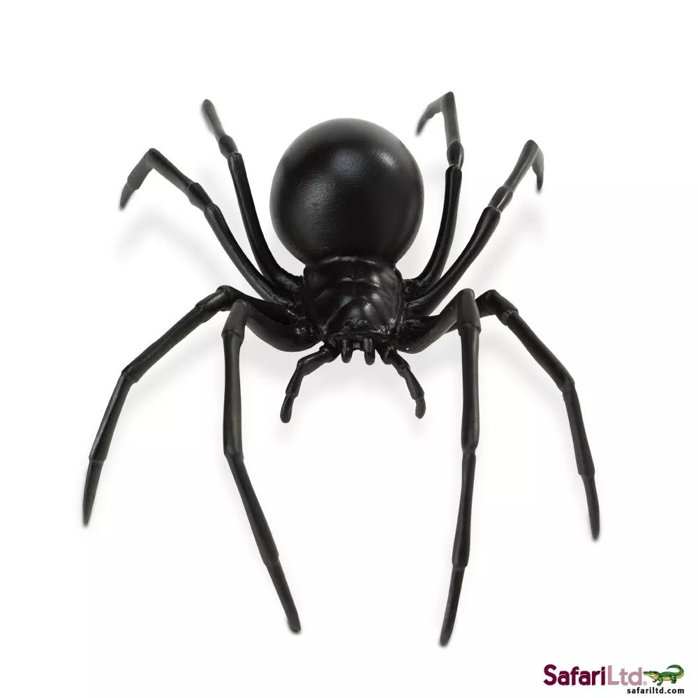 Safari Ltd. Črna vdova