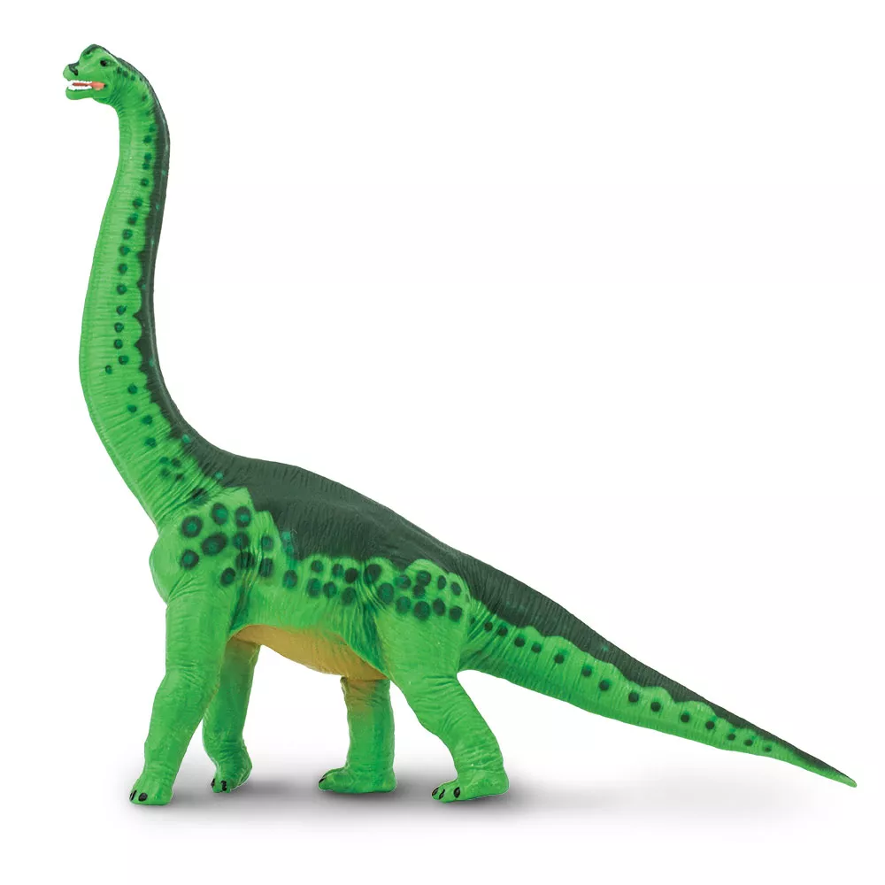 Safari Ltd. Brachiosaurus
