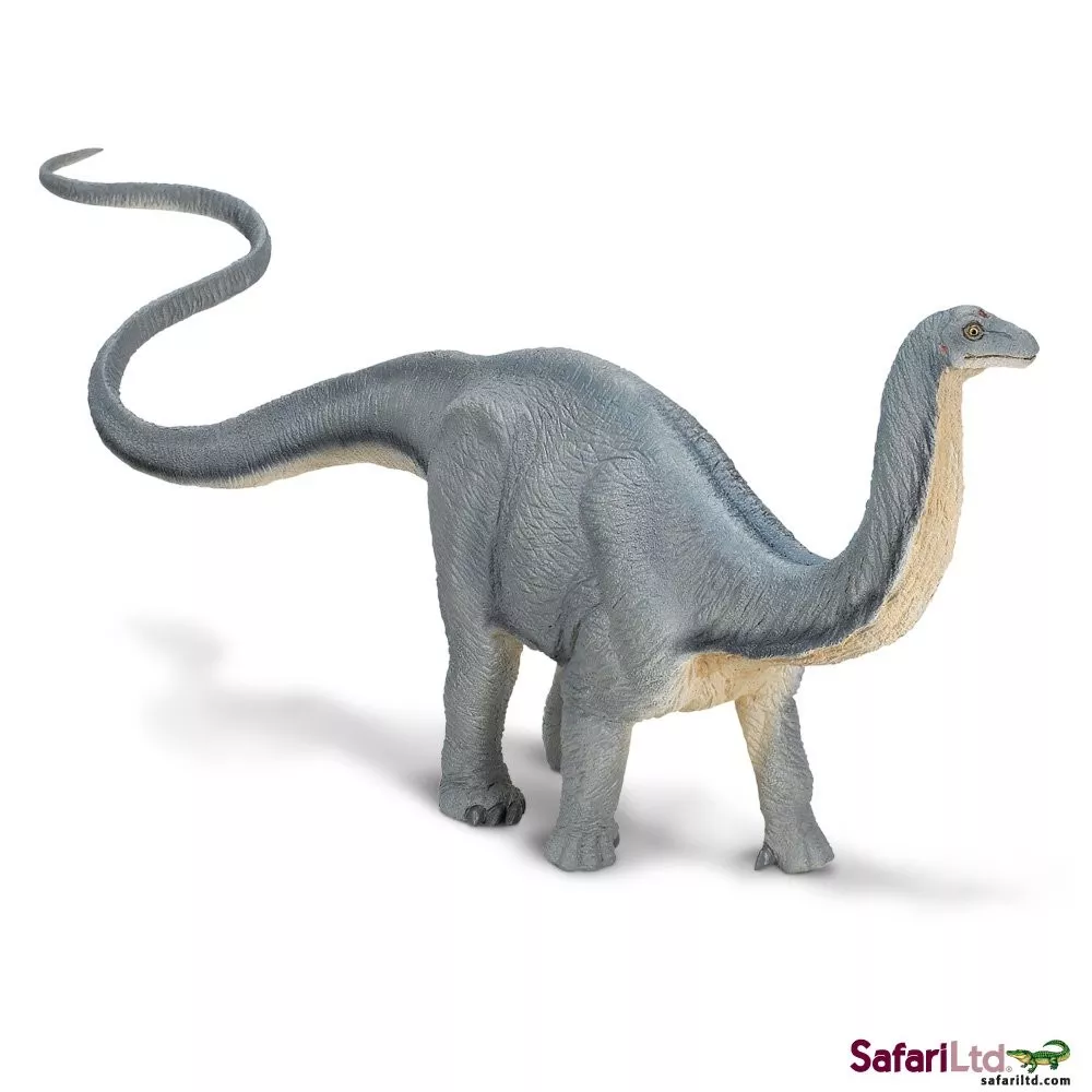 Safari Ltd. Apatosaurus