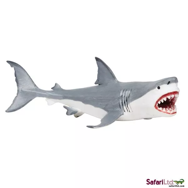 Safari Ltd. Megalodon