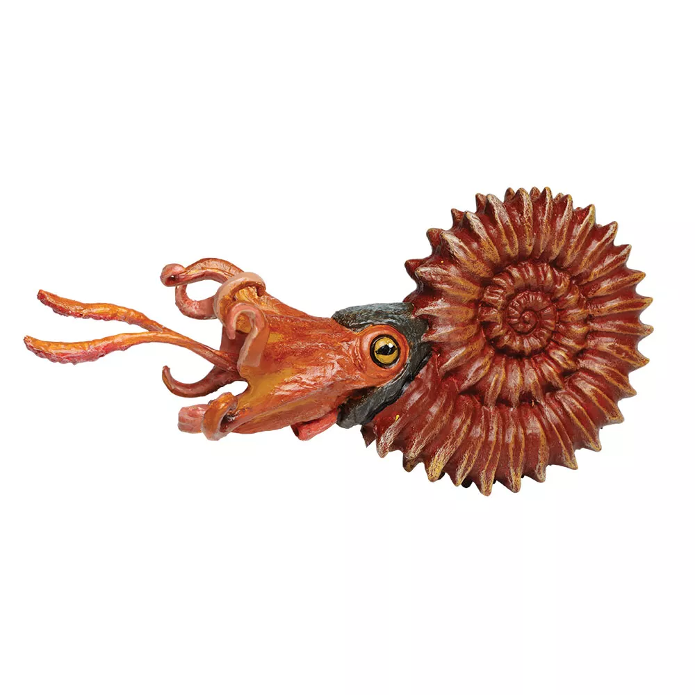 Safari Ltd. Amonit