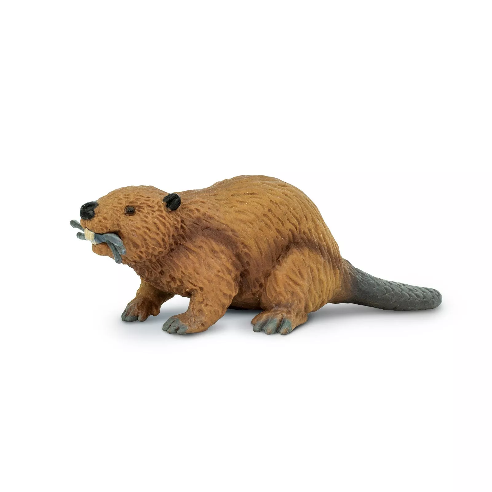Safari Ltd. Figurica - Bober