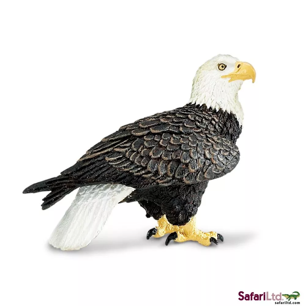 Safari Ltd. Beloglavi orel