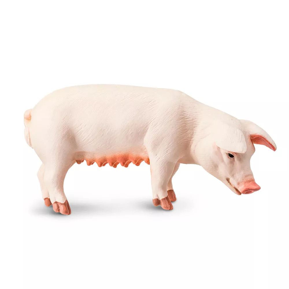Safari Ltd. Figura - Svinja