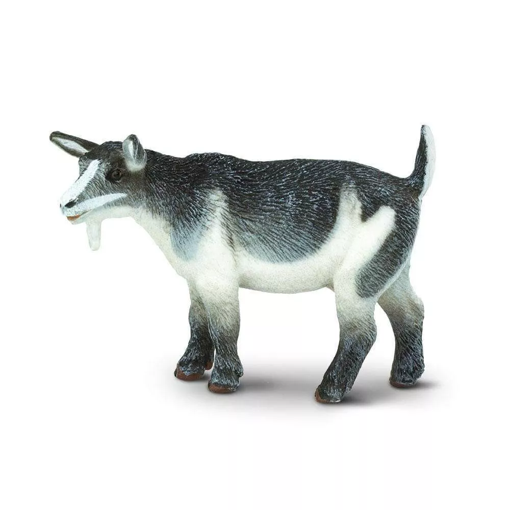 Safari Ltd. Figura - Pritlikava koza