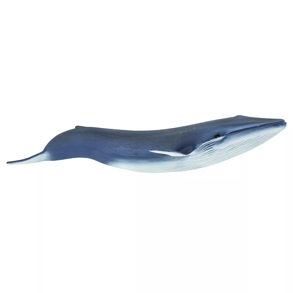 Safari Ltd. Figura - sinji kit