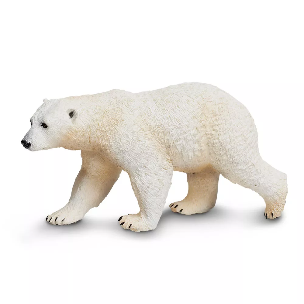 Safari Ltd. Polarni medved