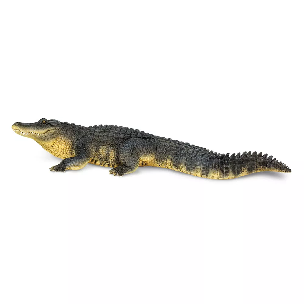 Safari Ltd. Aligator