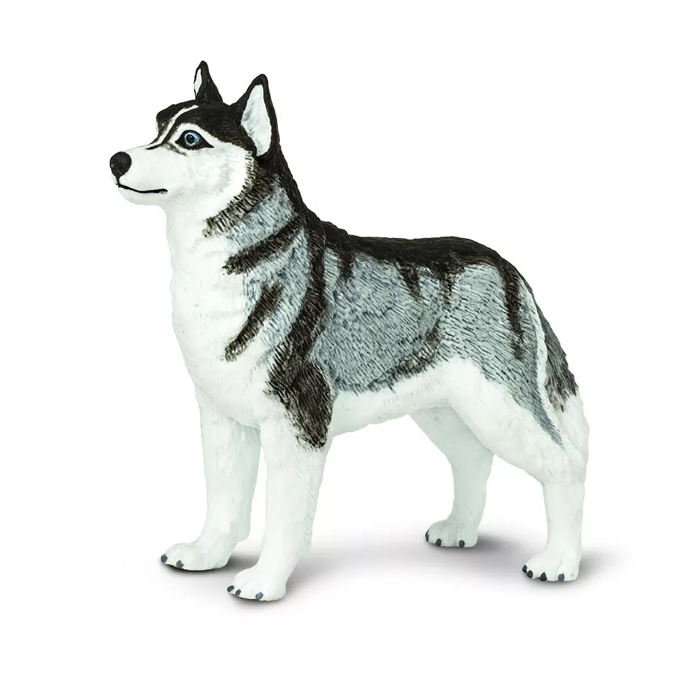 Safari Ltd. Figurica - Sibirski husky