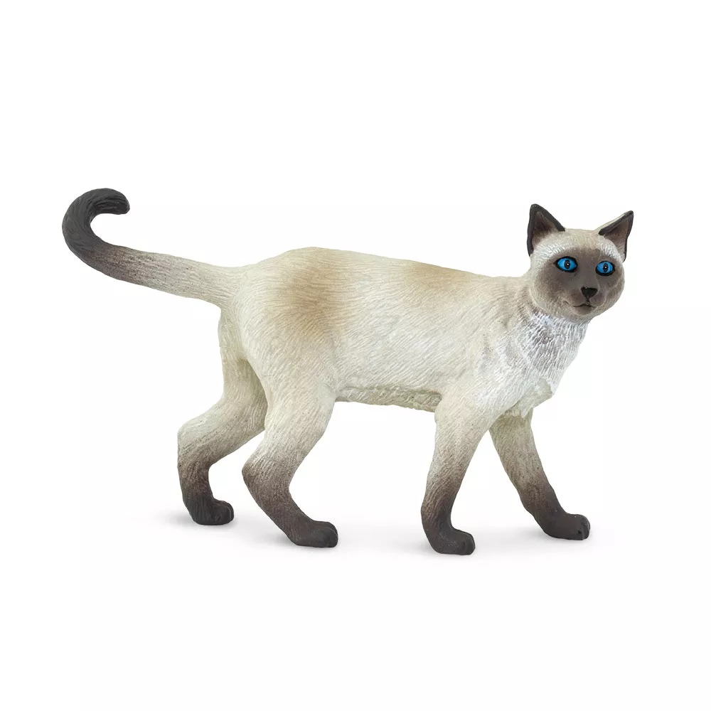Safari Ltd. Figura - Siamska mačka