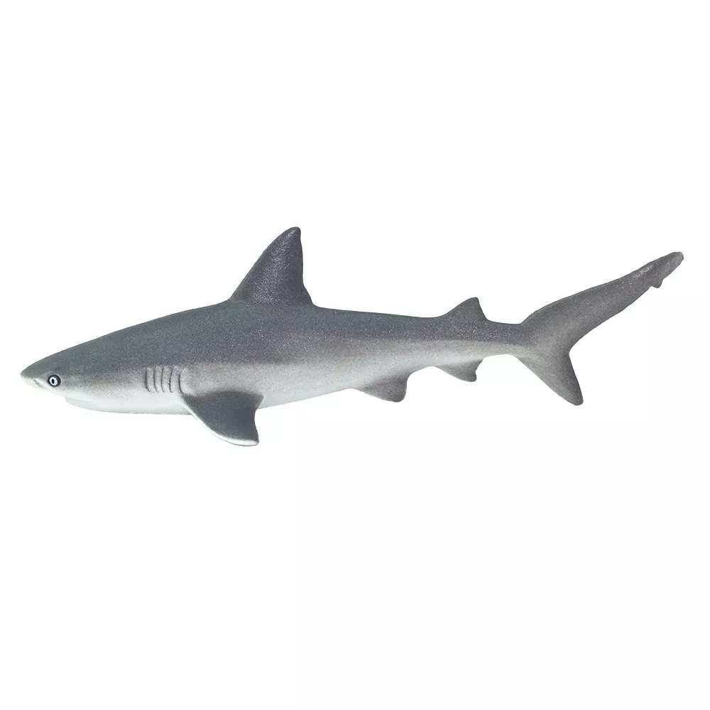 Safari Ltd. Morski pes gladki