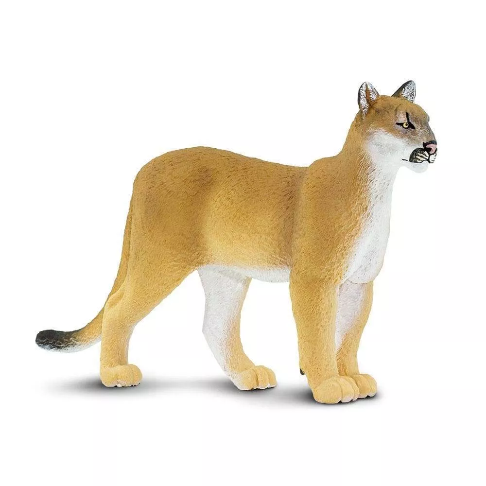 Safari Ltd. Figura - Floridska puma