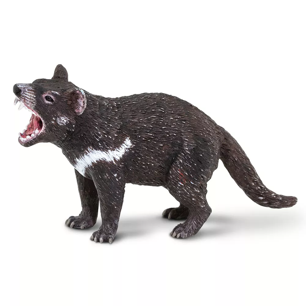 Safari Ltd. Figura - Tasmanski hudič