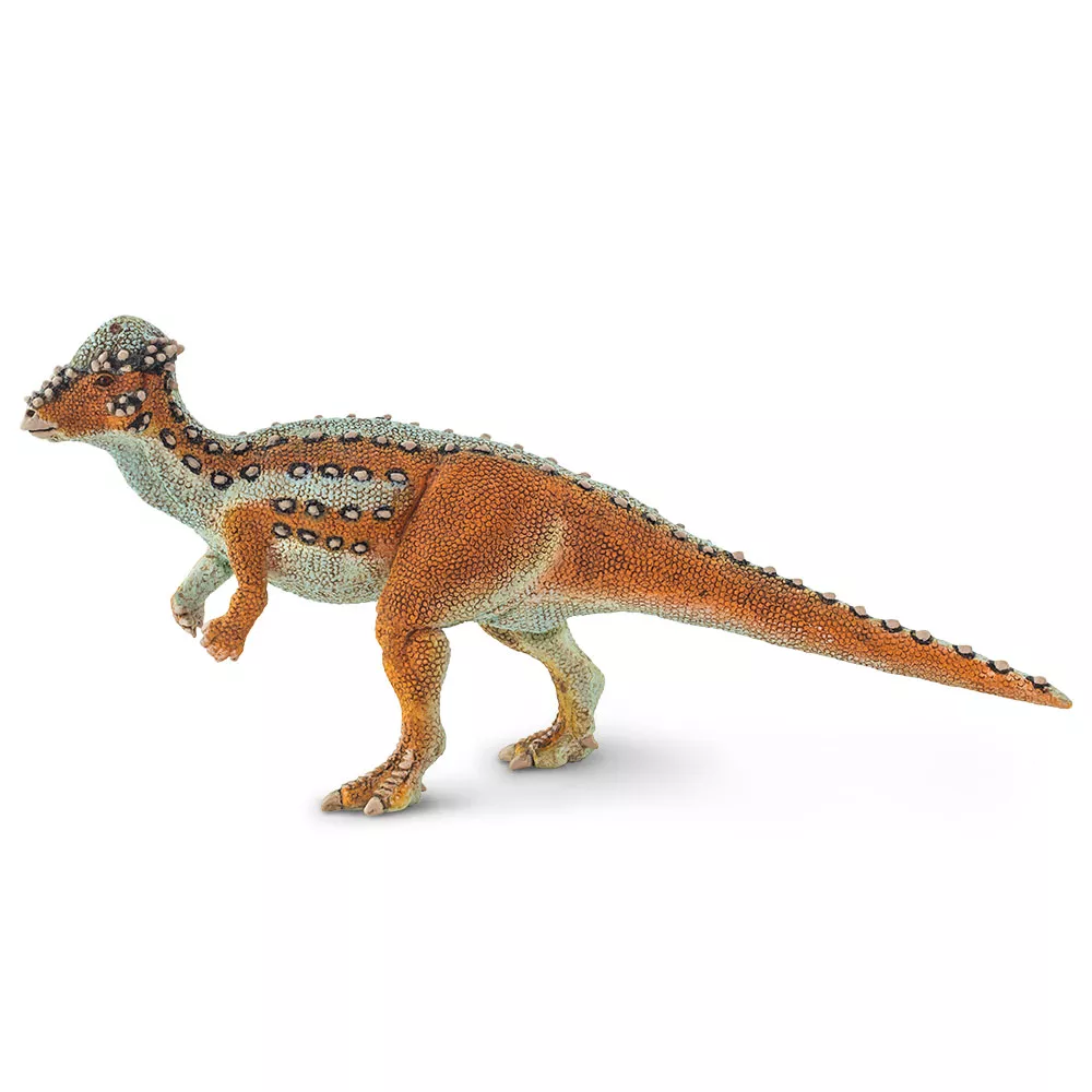 Safari Ltd. Figura - Pachycephalosaurus