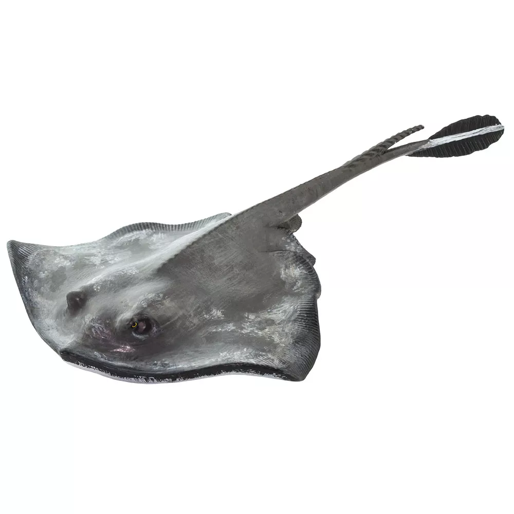 Safari Ltd. Figura - Raža