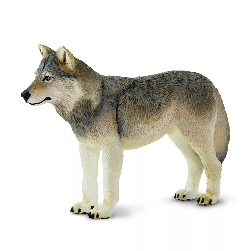 Safari Ltd. Figura - Sivi volk
