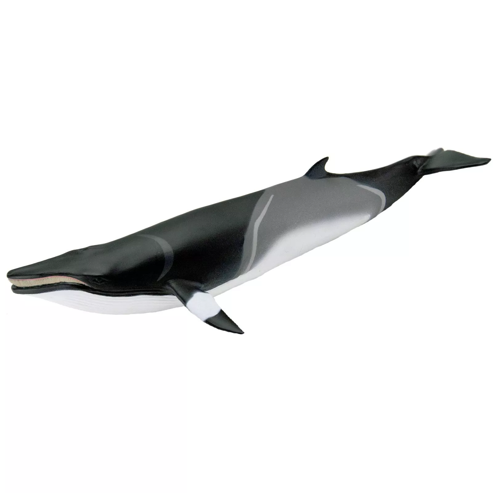 Safari Ltd. Figura - Minke kit