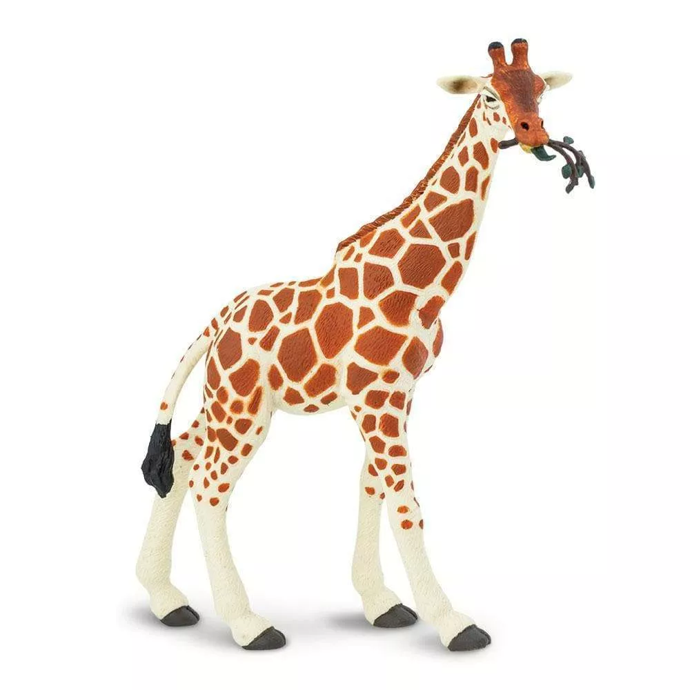 Safari Ltd. Mrežasta žirafa