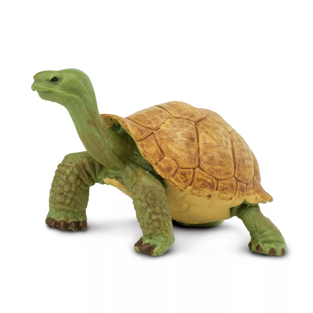 Safari Ltd. Figura - velikanska želva