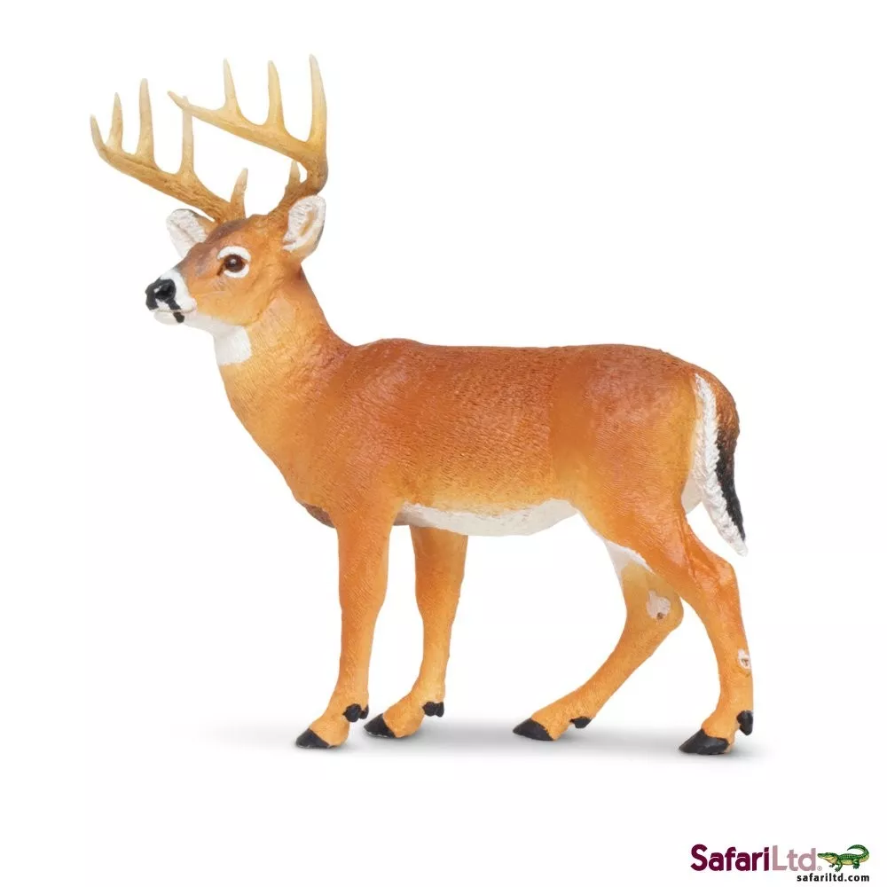 Safari Ltd. Virginijski jelen