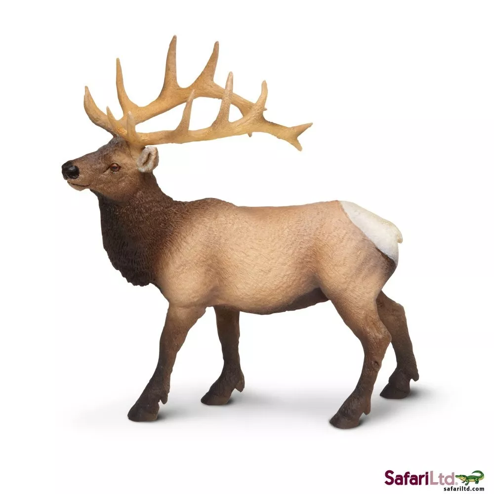 Safari Ltd. Wapiti zahodni