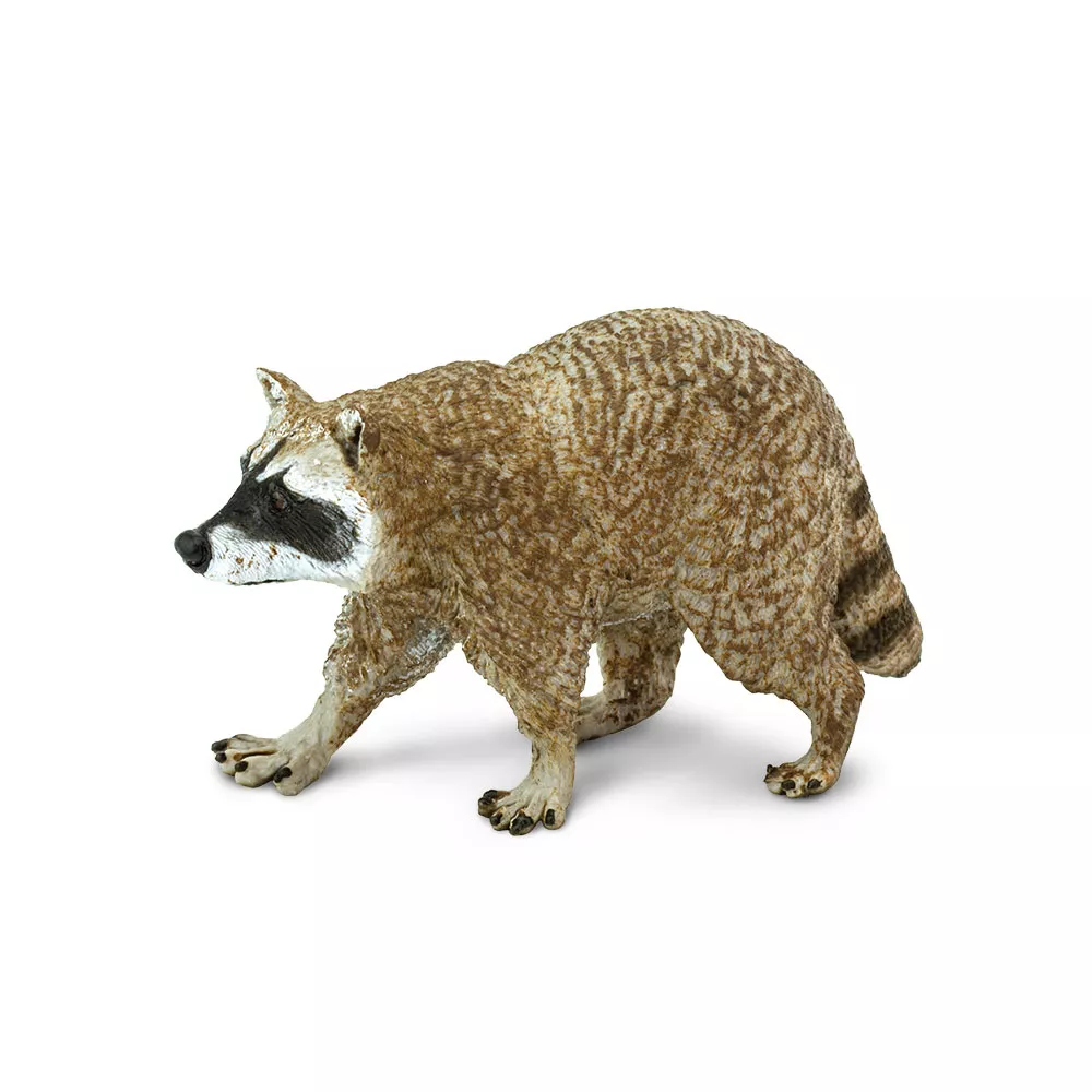 Safari Ltd. Rakun severni