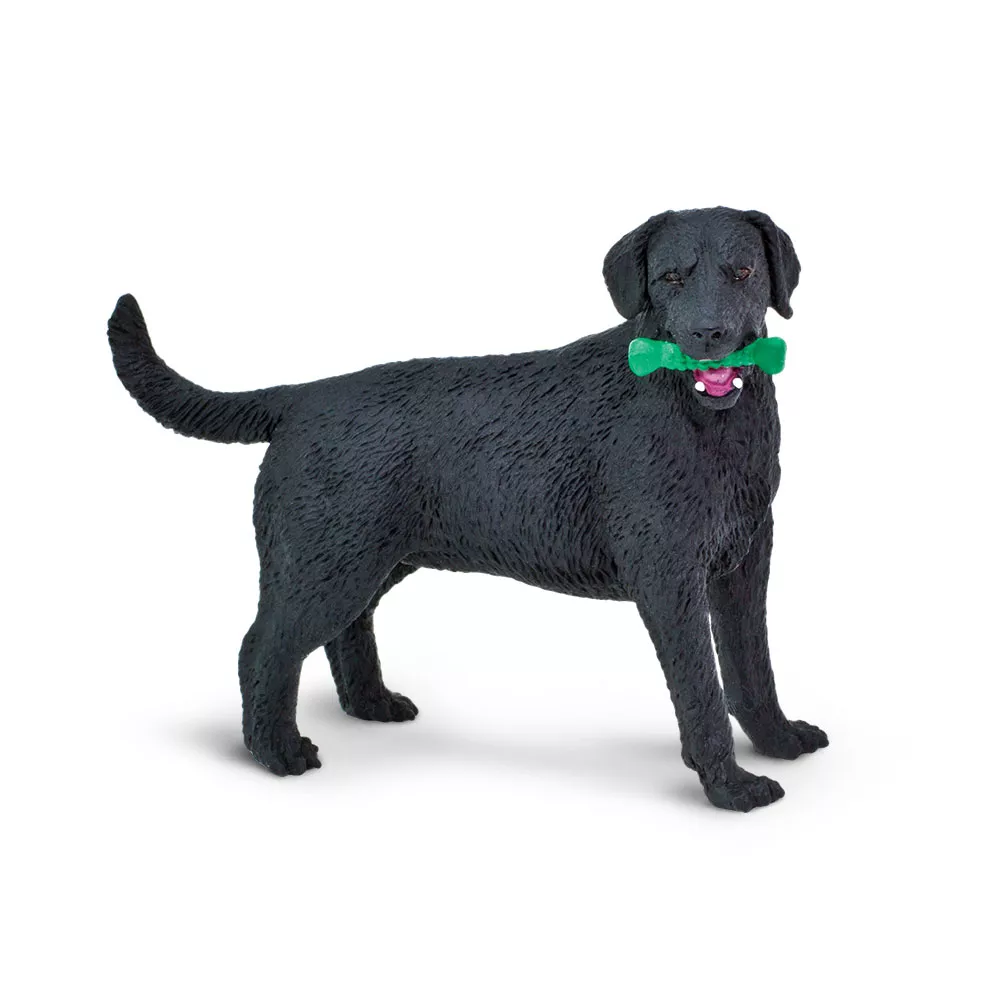 Safari Ltd. Črni labrador