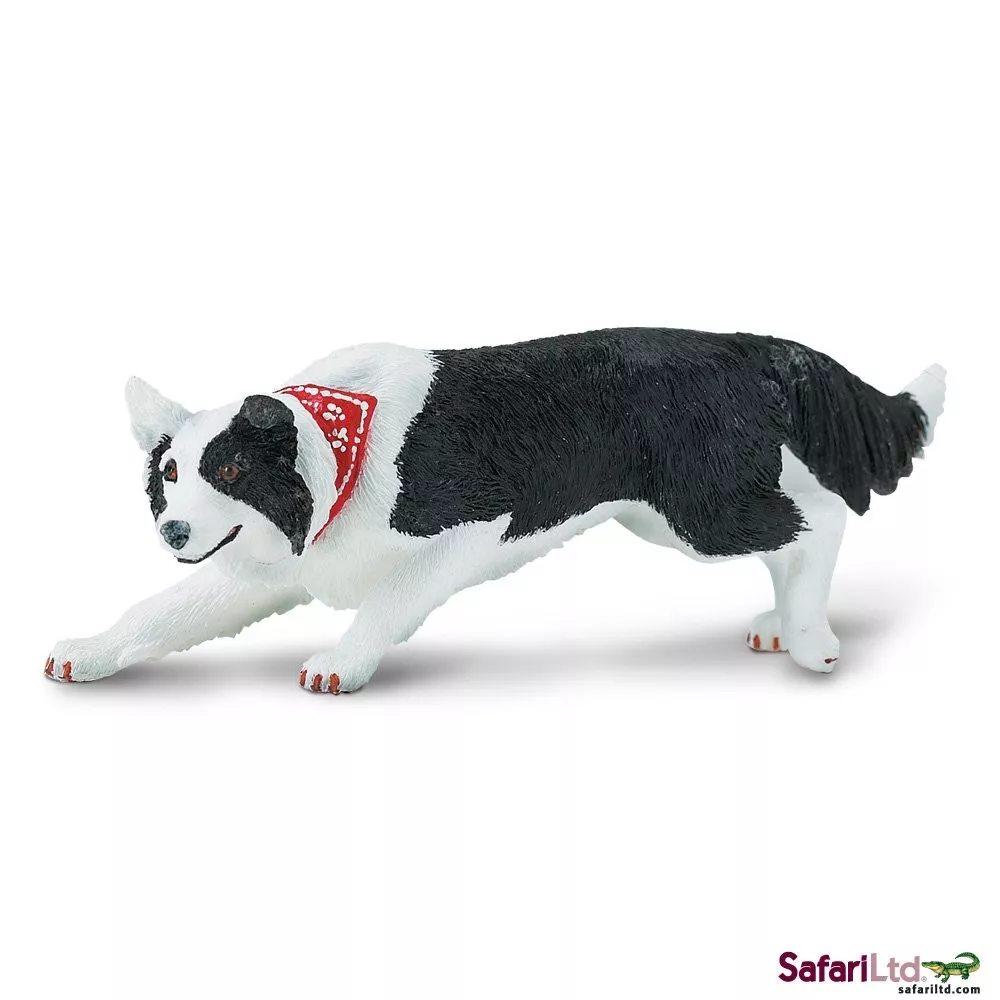 Safari Ltd. Border Collie