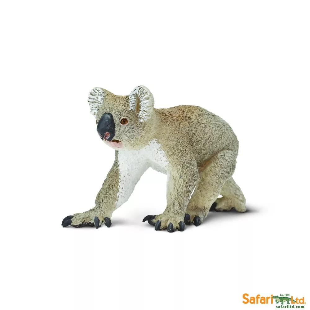 Safari Ltd. Koala
