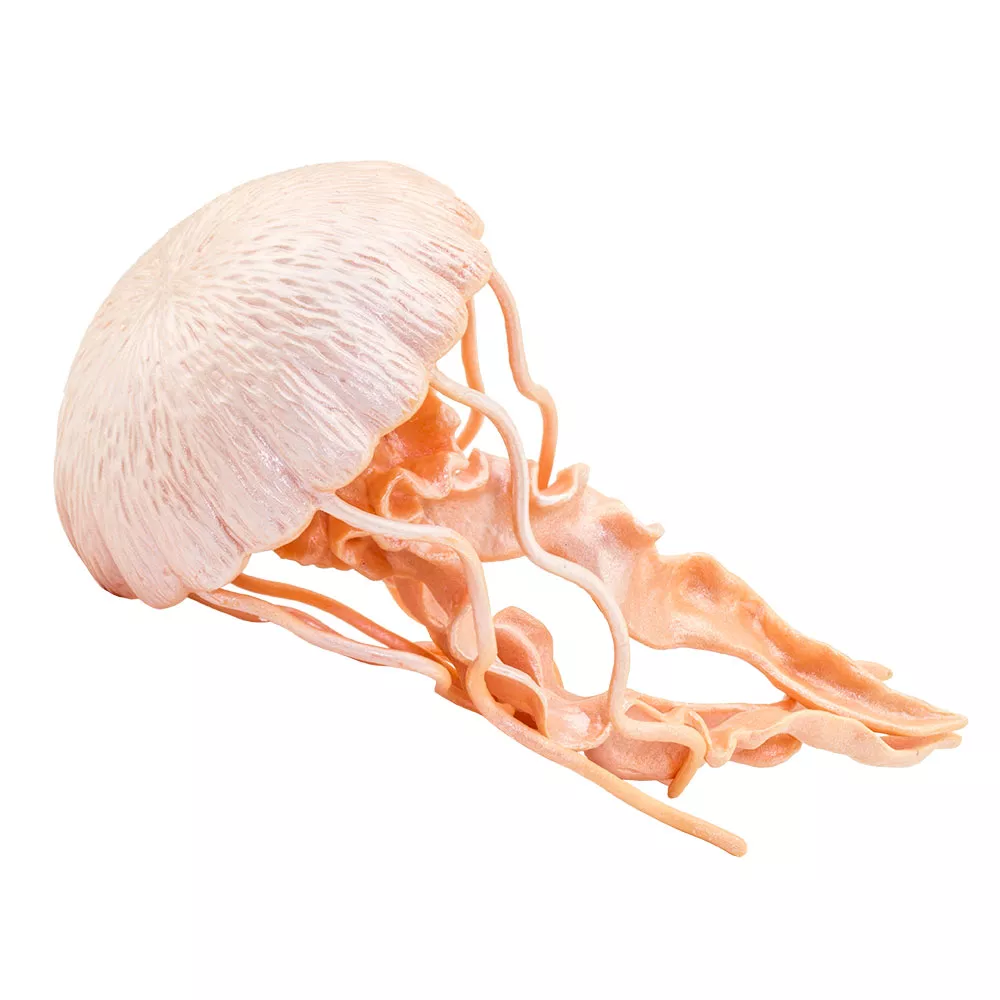 Safari Ltd. Figura - Meduza