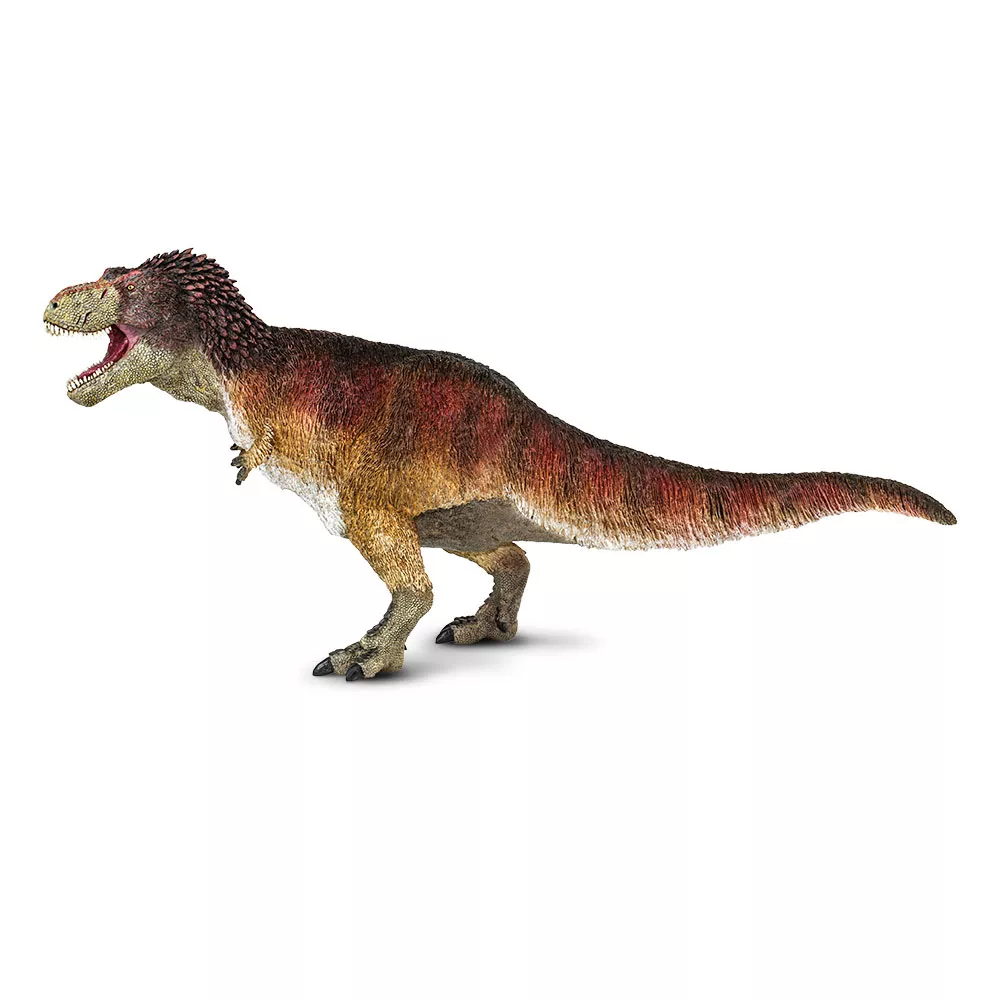 Safari Ltd. Tyrannosaurus Rex-perut