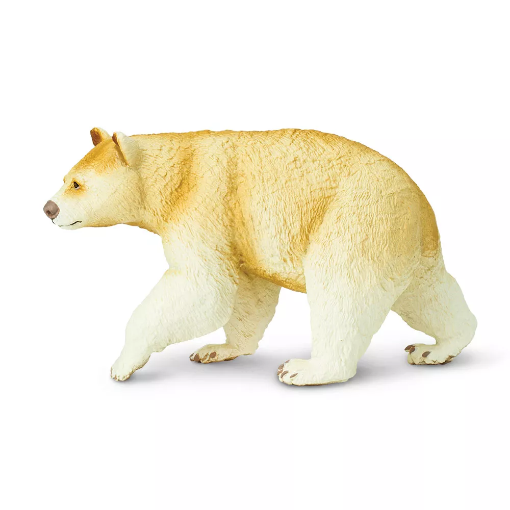 Safari Ltd. Baribal beli