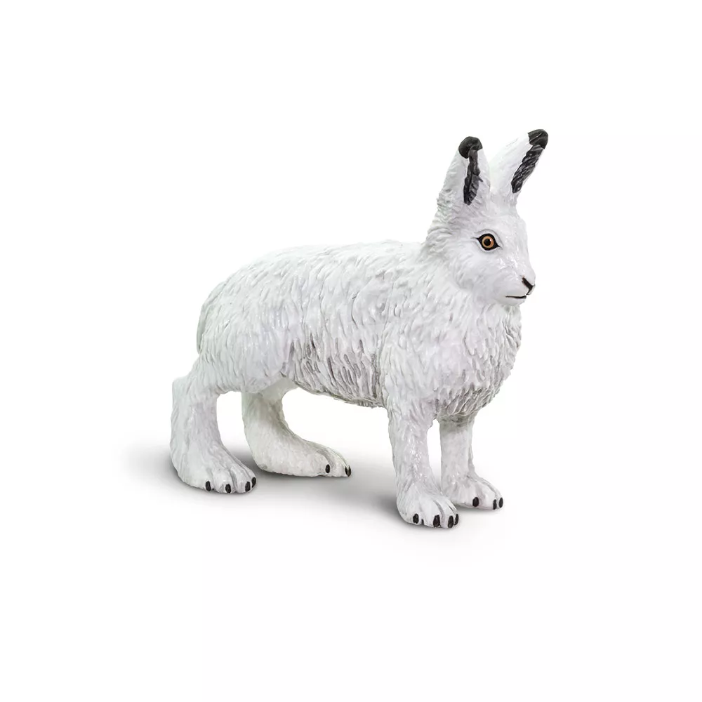 Safari Ltd. Arktični zajec