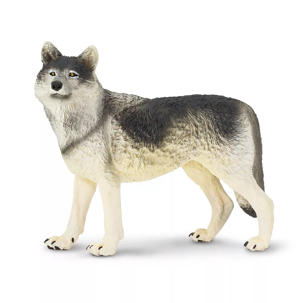 Safari Ltd. Volk navadni