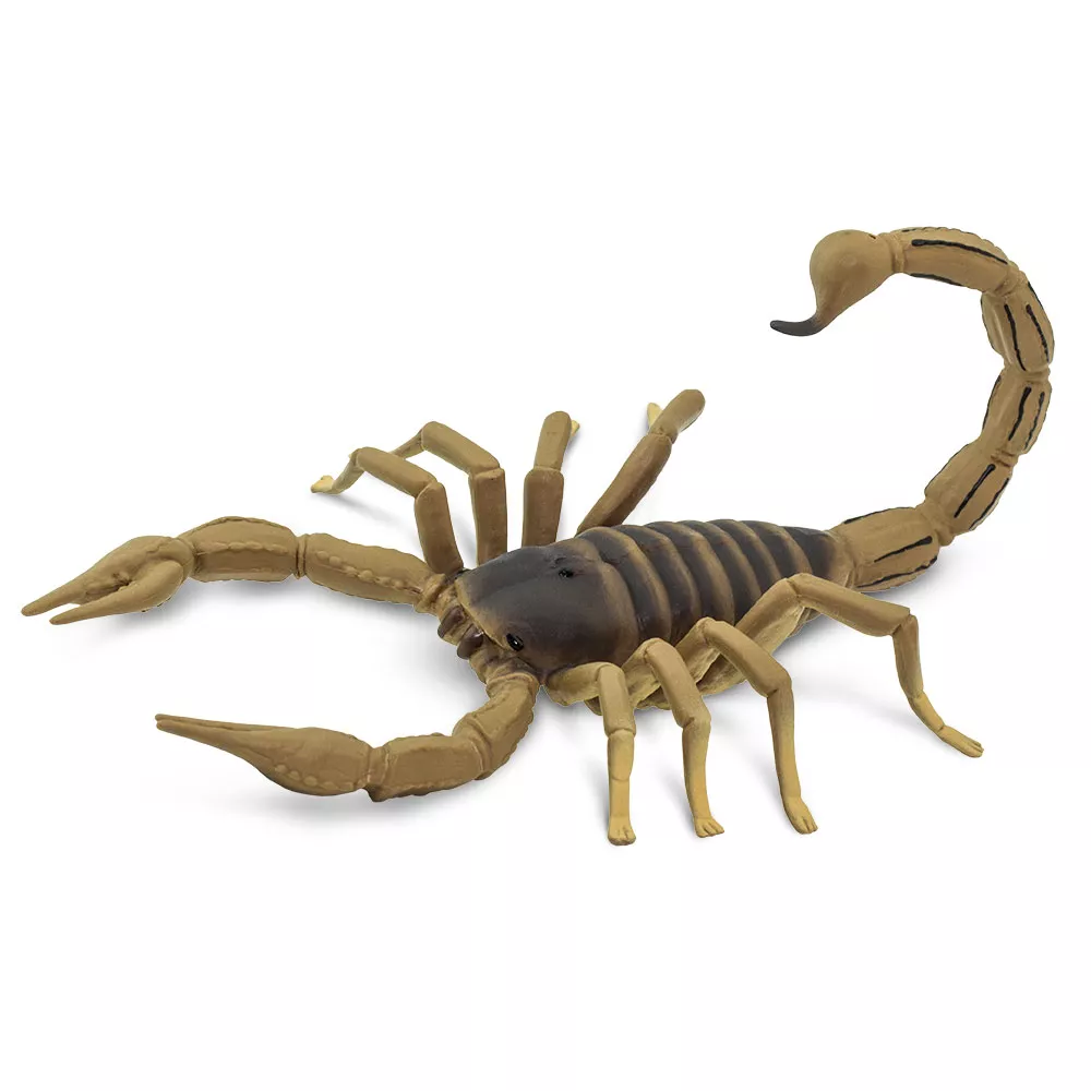Safari Ltd. Figura - Škorpijon