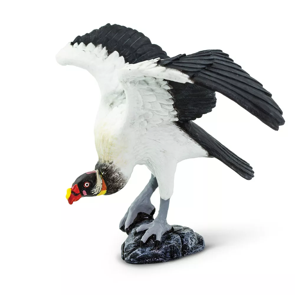 Safari Ltd. Figura - Kraljevi kondor