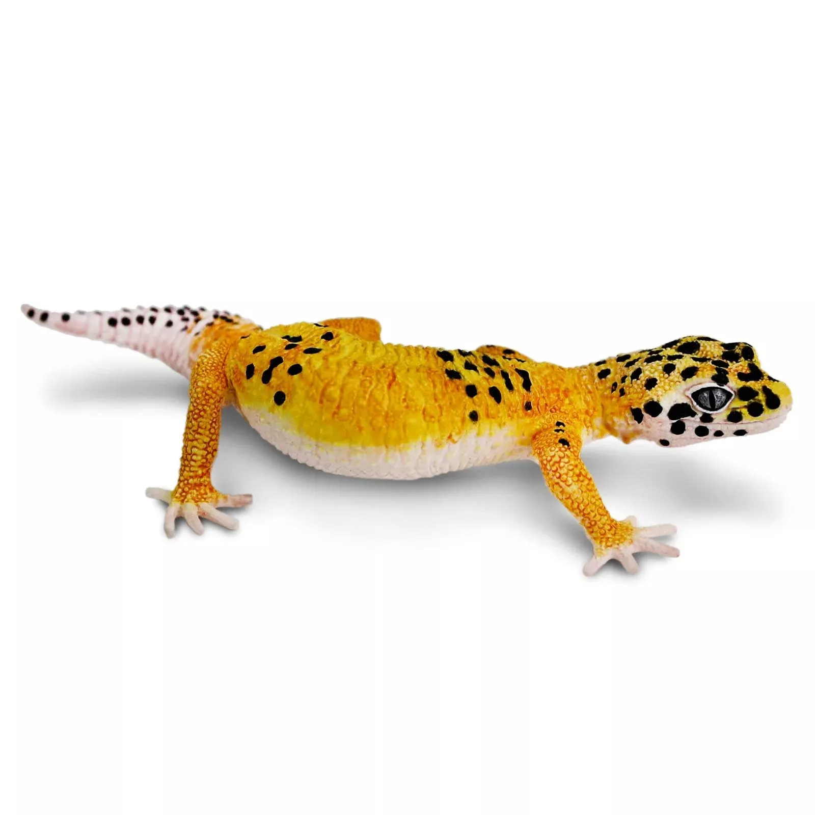 Safari Ltd. Figurica - Nočni gekon