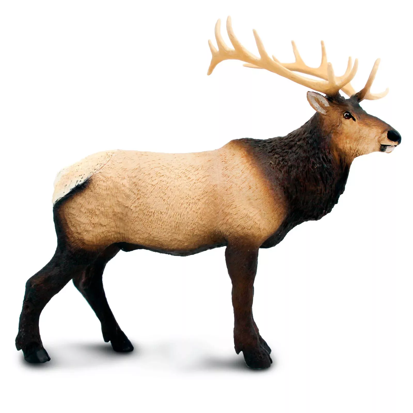 Safari Ltd. Figura - Wapiti
